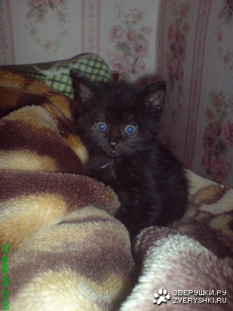 ��������� ;)