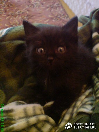 ����� ������ :)