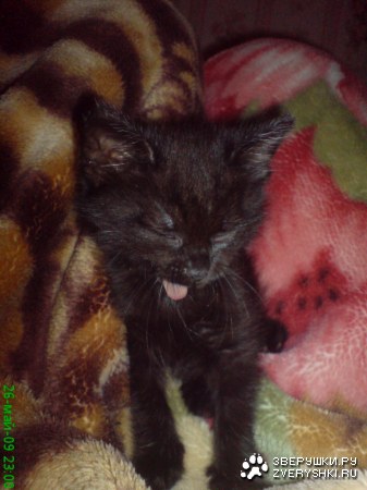 �������� :)