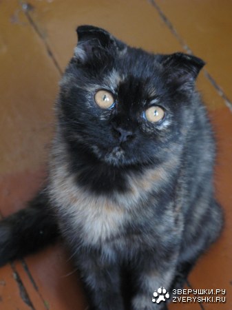 ���� ��������� ������ :)