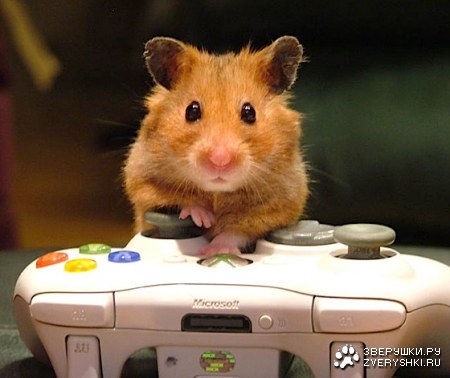 ��������� ������ :)