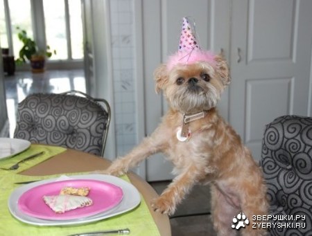 � ��� �� �����?! :) 