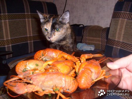 ����������� ������ :)