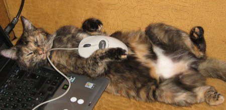 ���������� ������ ;)