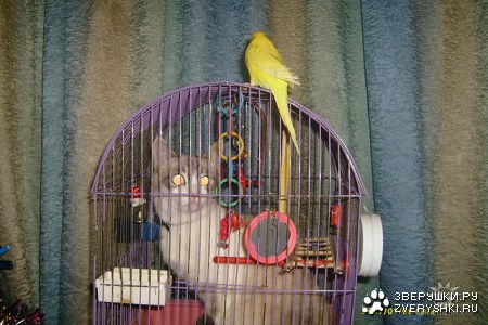 ���������� ������� :)