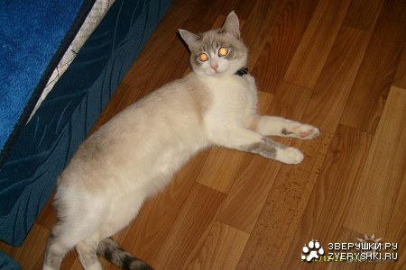 ������-��������� :)