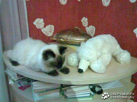 ����� ������� :)