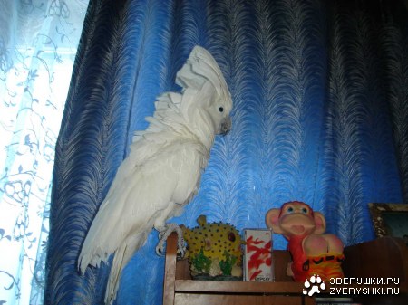 ����������! :)