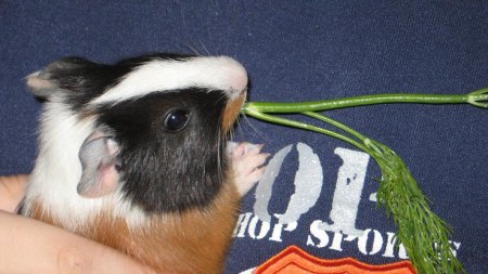 �� �������, � ��!