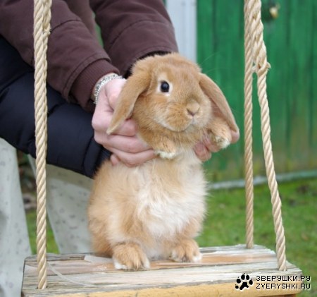 �� ������� ;)