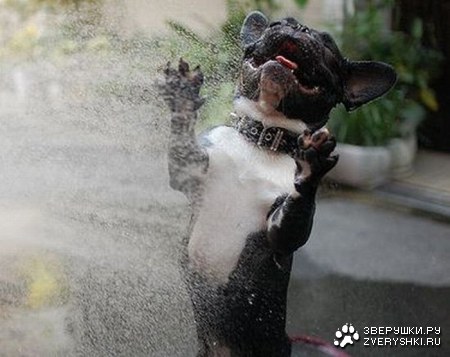 � ������ ���� �����! :)