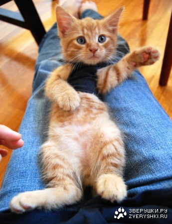 ��� ����? :)