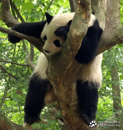 �����... ;)