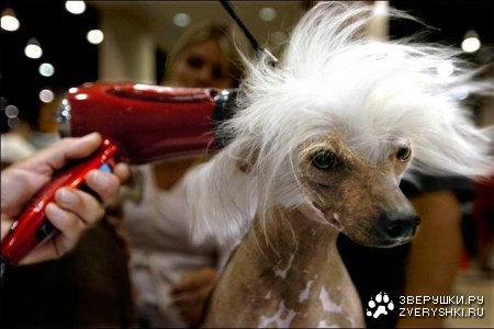 ��������� �������� :)