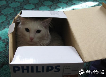 �������� ������� :)