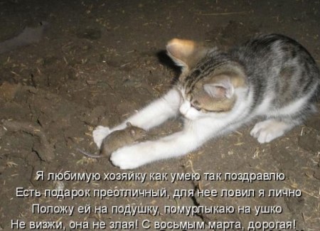 � 8 �����!