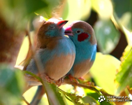 ��������� ;)