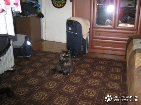 ��������� �����!