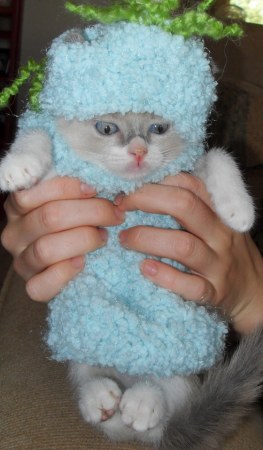 ����� � �� ���������?! :)