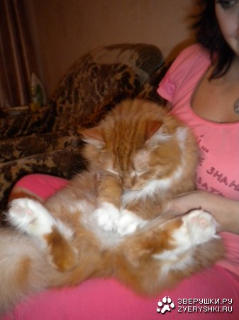 ��� �����!