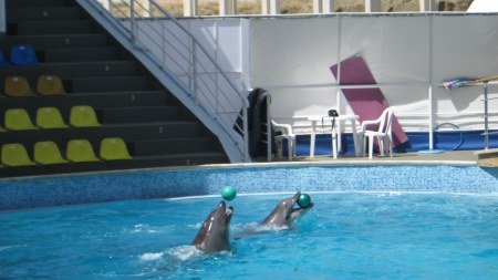 ����������� � ��������� (�������)