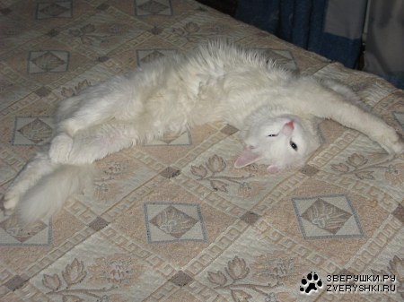 ����� ������� :)