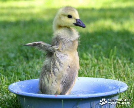 ��������! ;)