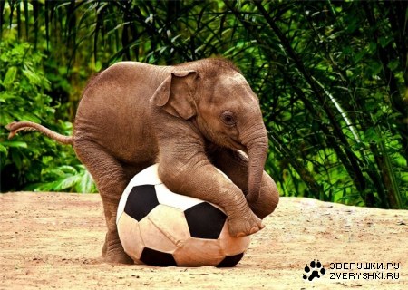 ��� ��� ��� ��������� ;)