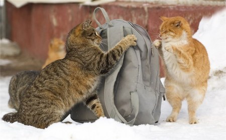 ��� �� � ���� ��������?...