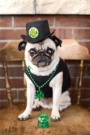 ������� ������ ;)