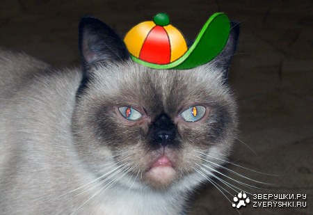 ������-��������!