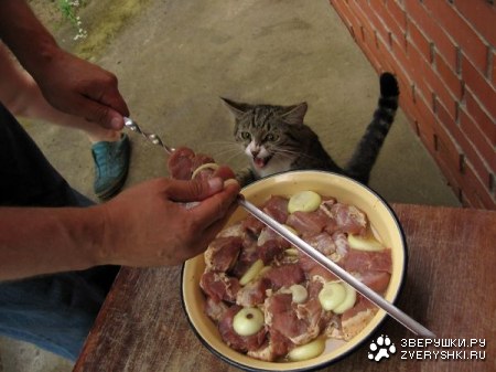 ������, ������ �� ����! :)