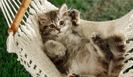 ��������� ;)