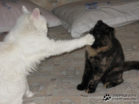 �� �������� �� ������ ��������?! :)