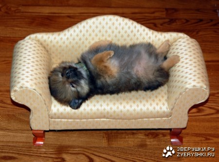 ������� � ���! :)