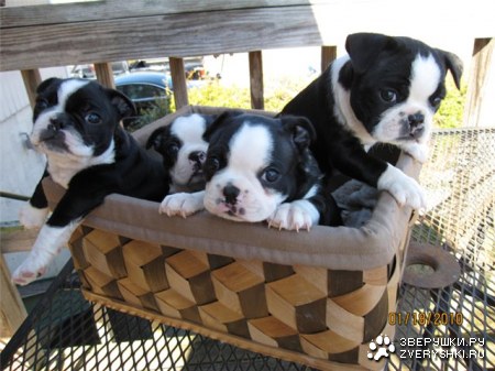 ������� ;)