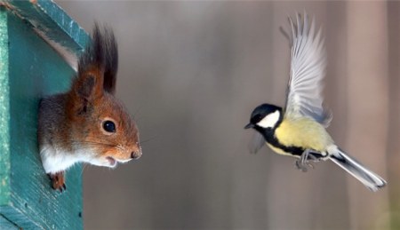 � ����� ��������� :)