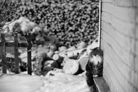 ����� � �����! :)