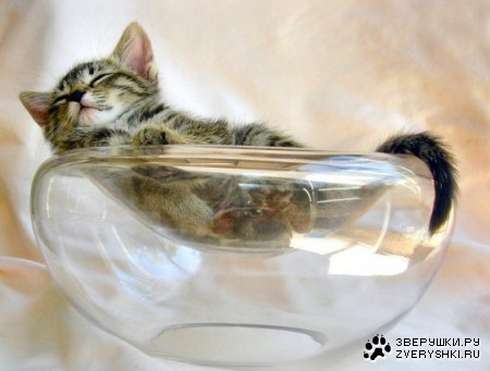 ������� ��� ;)