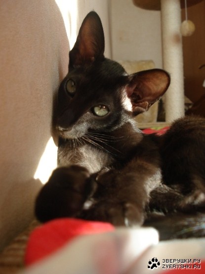 ��������� �������� - ������! :)