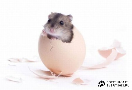 ��������� ;)