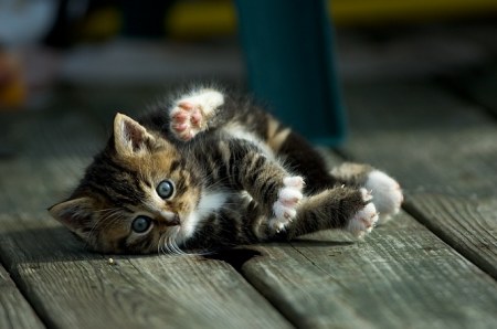 ��������� � �����! :)