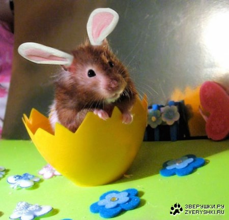 ���������� ������� :)