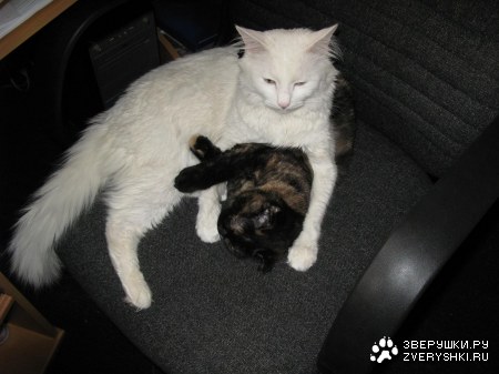 ������-������� :)