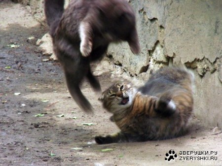 �����������!