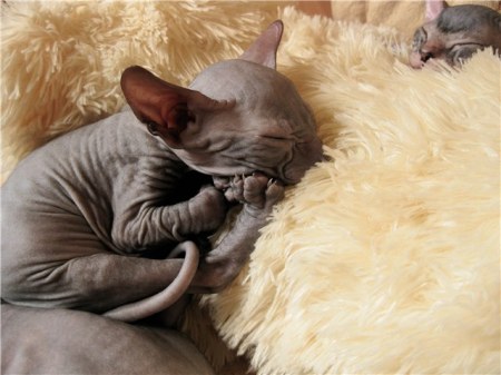 ������ ��������� :)