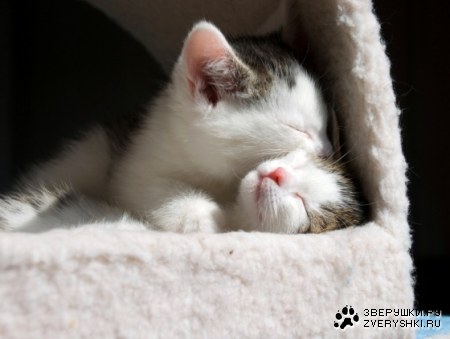 � �� ��� ����, ����� ������ :)