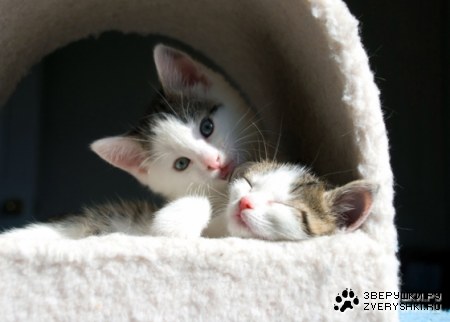 � �� ��� ����, ����� ������ :)