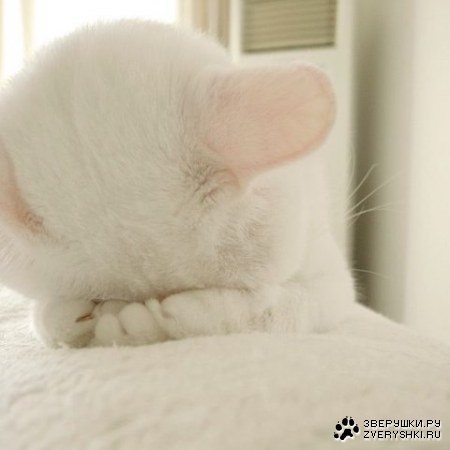 �����������... ;)