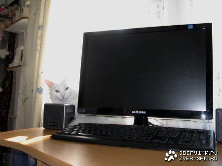 ��������� ���������� :)